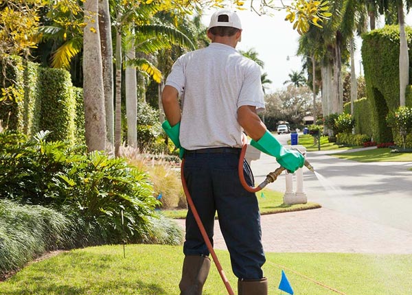 About El Mirage AZ Pest Control Pros